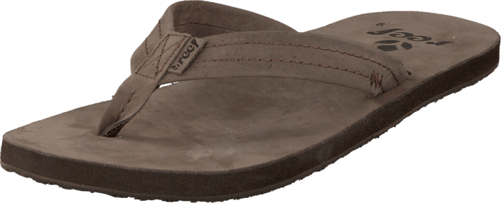 Reef - Heartwood Brown