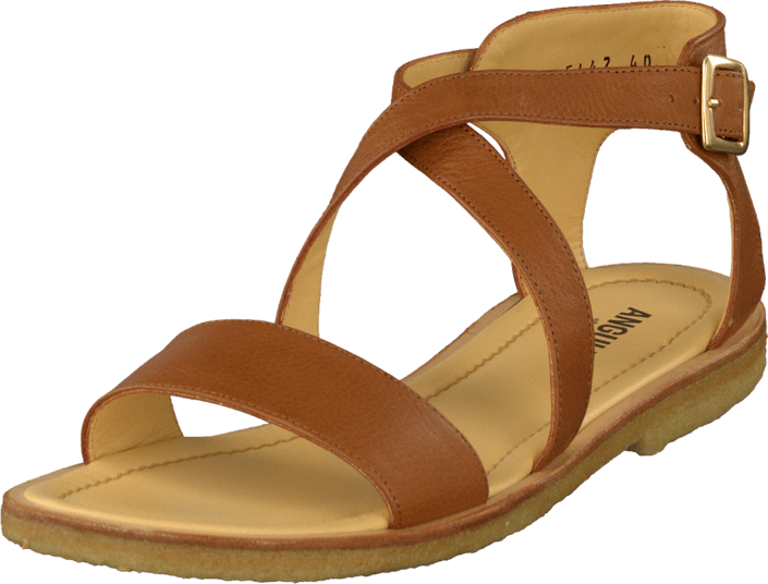 Angulus - 5442-102 Cognac