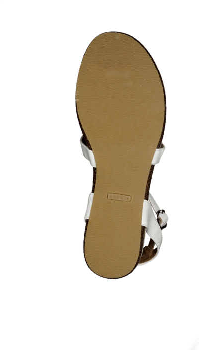 Esprit - Cometa White