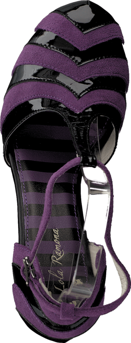 Lola Ramona - Angie P 412204 Purple/Black