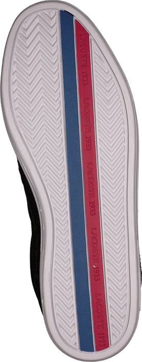 Lacoste - Europa Tcl Dk Brw/Dk Brw