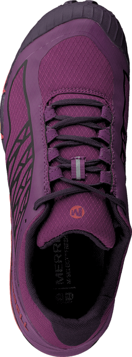 Merrell - All Out Terra Ice Purple