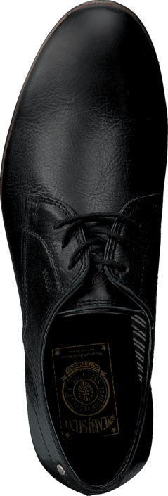 Sneaky Steve - H1501 Markham Low Black