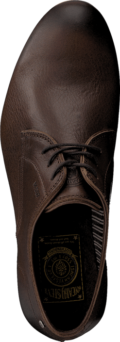 Sneaky Steve - H1501 Markham Low Brown