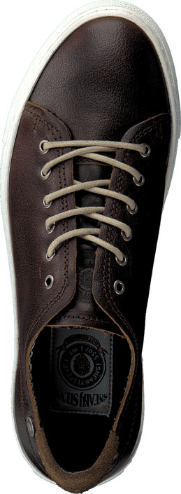 Sneaky Steve - H1503 Buddy Low Dark Brown