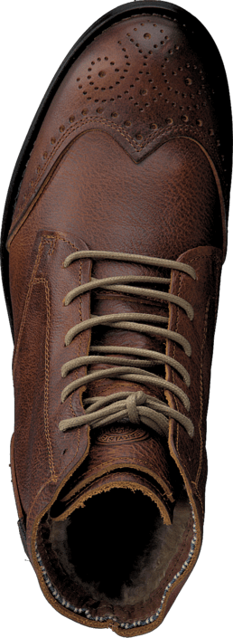 Sneaky Steve - H1516 Meadows Cognac