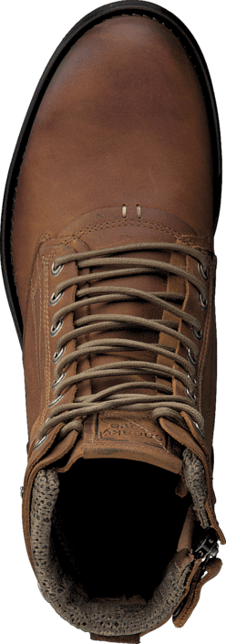 Sneaky Steve - H1518 Shed Cognac