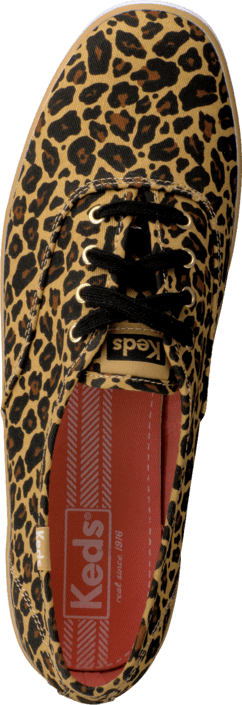 Keds - Champion Leopard Twill Tan
