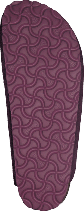 Birkenstock - Amsterdam Purple Purple