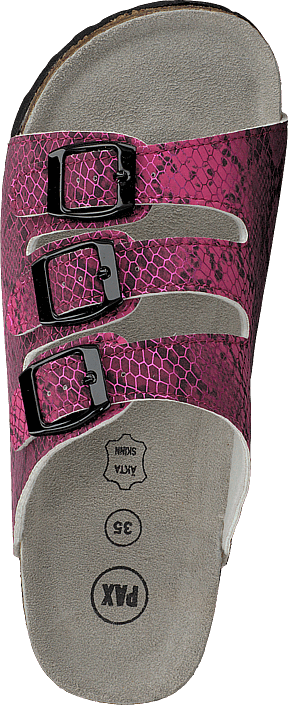 Pax - Sam Fuschia