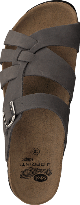 Scholl - 15144724 Grey