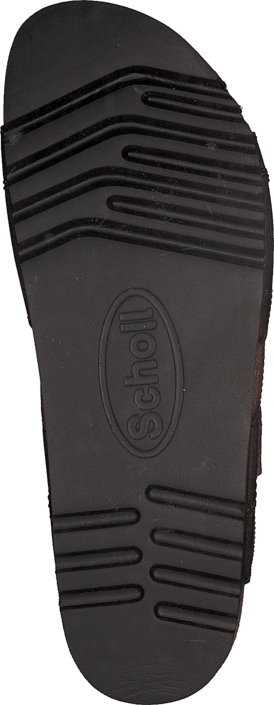 Scholl - 15144626 Brown