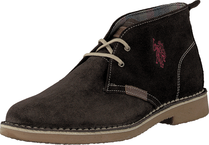 U.S. Polo Assn - Amadeus 6 Dark Brown