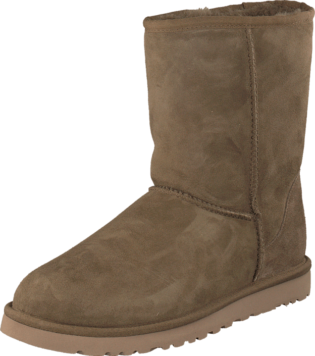 UGG Australia - Cl. Short Dry leaf