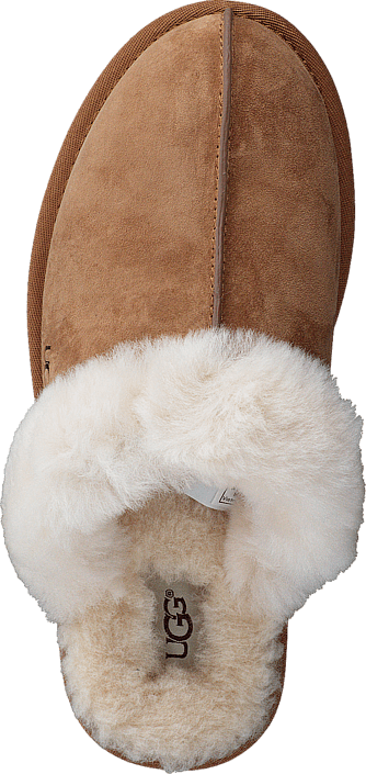 UGG Australia Scuffette II Chestnut(CHE) UGG Australia Scuffette II Chestnut(CHE)