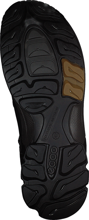 Ecco - Biom Hike 811574 Black