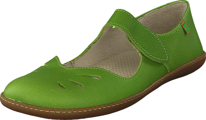 El Naturalista - El Viajero N249 Green