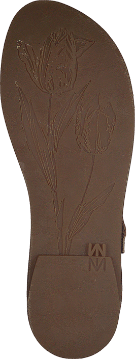 El Naturalista - Tulip NF30 Wood