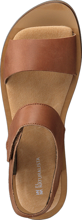 El Naturalista - Tulip NF30 Wood