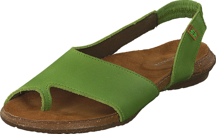 El Naturalista - Wakataua ND74 Green