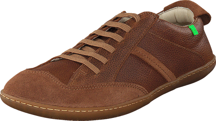 El Naturalista - El Viajero N273 wood
