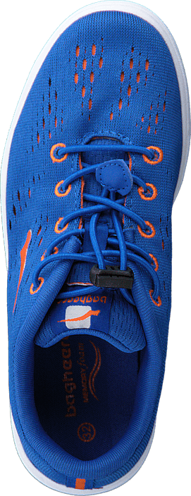 Bagheera - Meadow jr Royal/orange