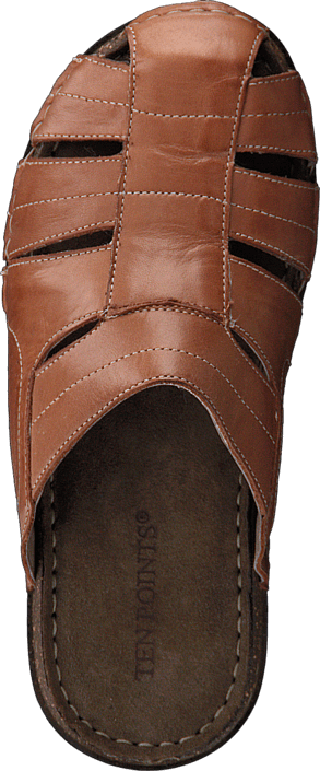 Ten Points - Colin 741051 Brown
