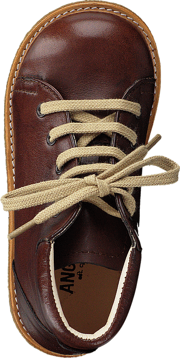 Angulus - 2361-101-1562 Brown