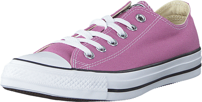 Converse - All Star-Ox Powder Pur
