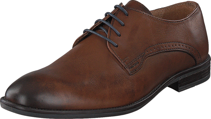Senator - 479-1505 Cognac
