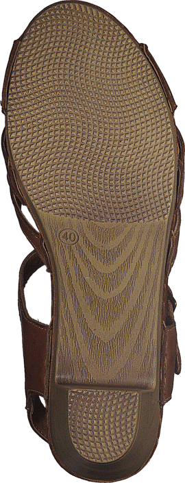 Wildflower - Templer 31 Tan