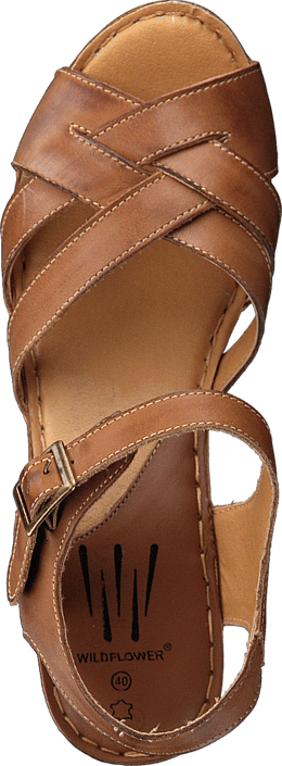 Wildflower - Templer 31 Tan