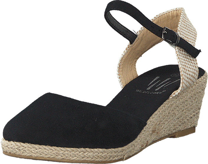 Wildflower - Kea 06 Black