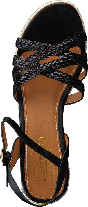 Wildflower - Roide 06 Black