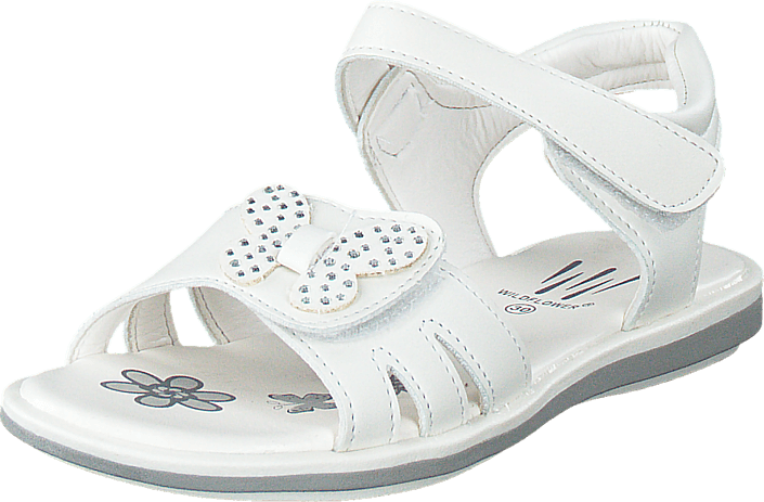 Wildflower - Kolvereid 01 White
