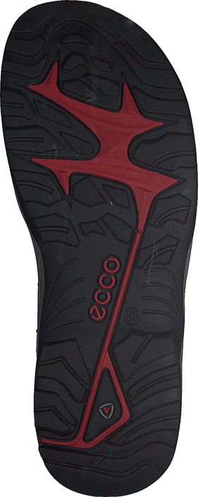 Ecco - Offroad Espresso/ Cocoa Brown/ Black