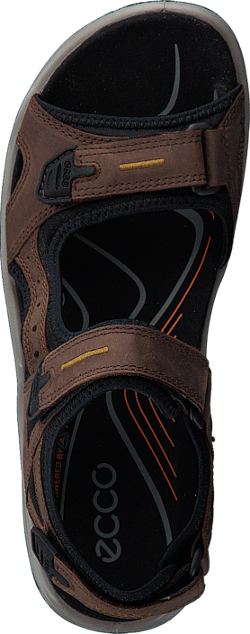 Ecco - Offroad Espresso/ Cocoa Brown/ Black