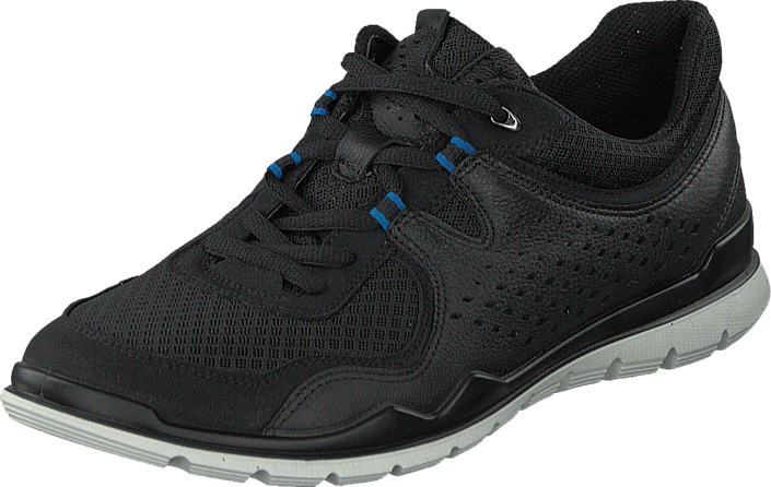 Ecco - Lynx Black/ Black