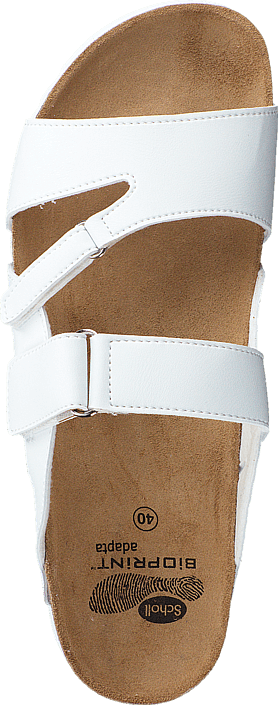 Scholl - Alabama White