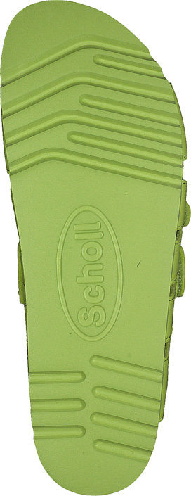 Scholl - Alabama Lime