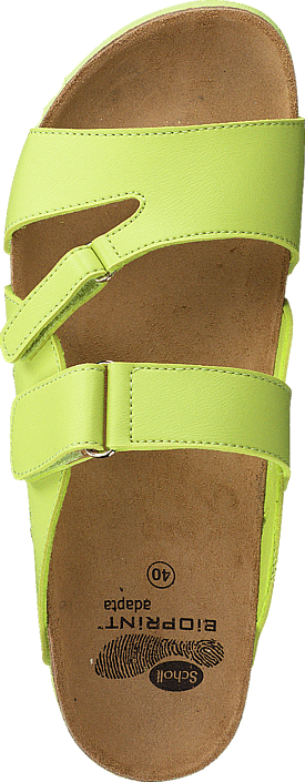 Scholl - Alabama Lime