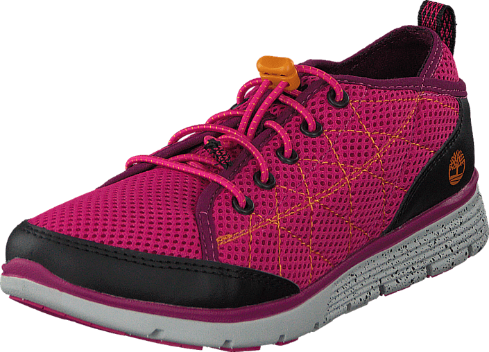 Timberland - Glidden Camp Berry