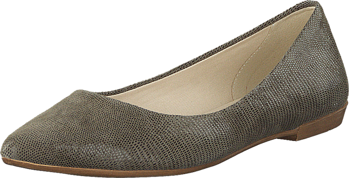 Vagabond - Aya 4111-008-19 Fossil