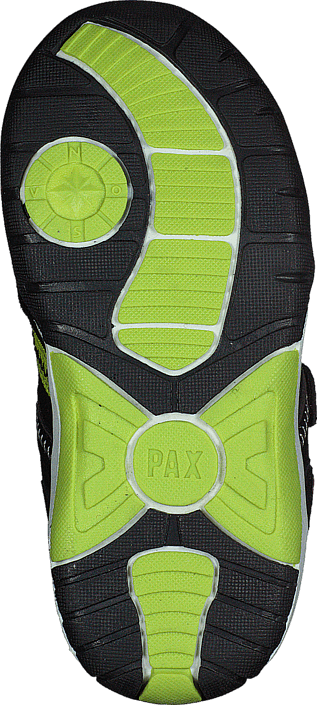 Pax - Pocka Lime