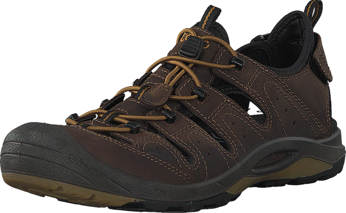 Ecco - Biom Delta Coffee/ Black/ Dried Tobacco