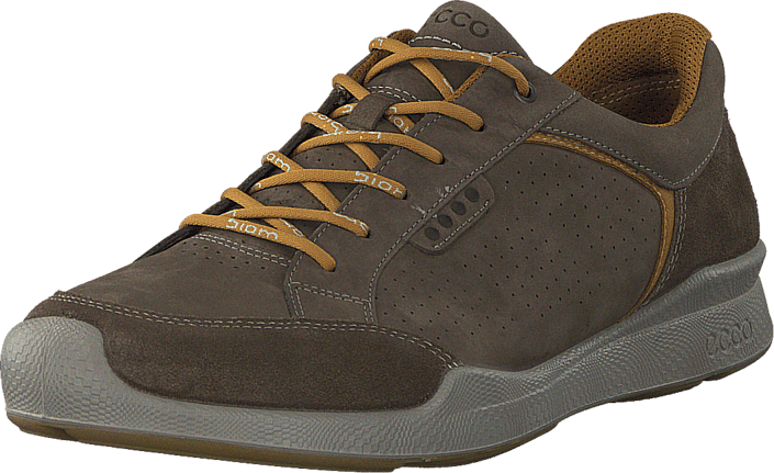 Ecco - Biom Hybrid Walk Tarmac/ Dried Tobacco
