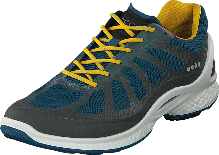 Ecco - Biom Fjuel Dark Shadow/ Petrol/ Bamboo