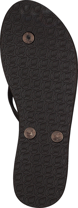 Reef - Stargazer Bronze