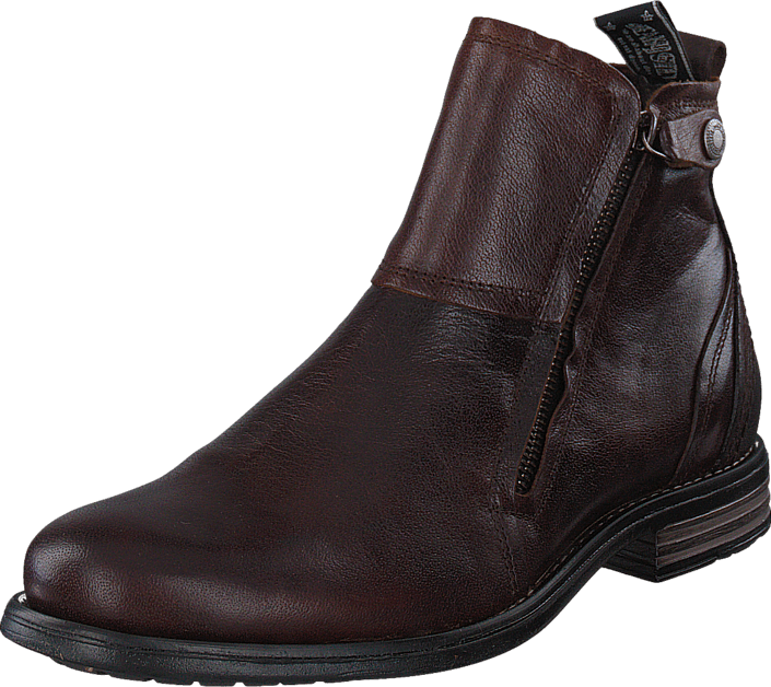 Sneaky Steve - Heron Brown Buffalo Sauros