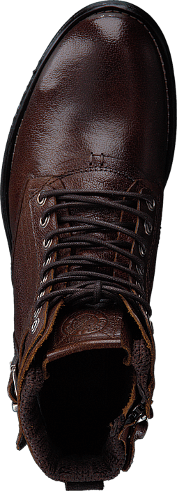 Sneaky Steve - Shed Brown Buffalo